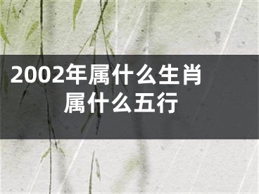 2002年属什么生肖 属什么五行