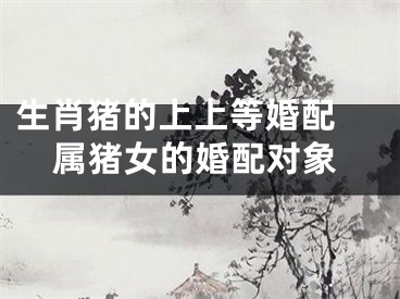 生肖猪的上上等婚配 属猪女的婚配对象