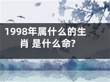 1998年属什么的生肖 是什么命?