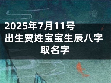 2025年7月11号出生贾姓宝宝生辰八字取名字