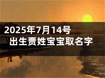 2025年7月14号出生贾姓宝宝取名字