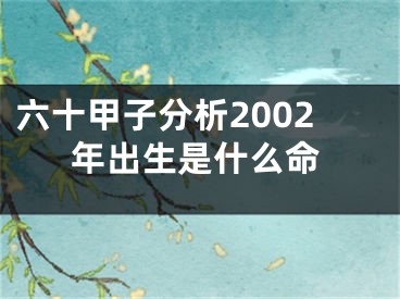 六十甲子分析2002年出生是什么命