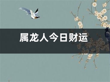 属龙人今日财运