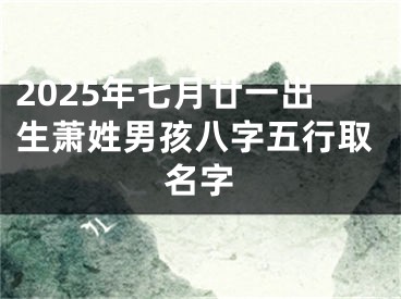 2025年七月廿一出生萧姓男孩八字五行取名字