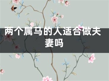 两个属马的人适合做夫妻吗