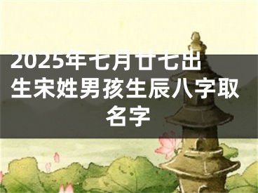 2025年七月廿七出生宋姓男孩生辰八字取名字