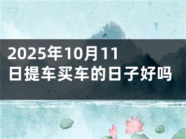 2025年10月11日提车买车的日子好吗