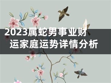 2023属蛇男事业财运家庭运势详情分析