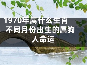 1970年属什么生肖 不同月份出生的属狗人命运