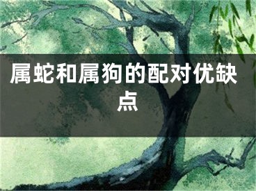 属蛇和属狗的配对优缺点