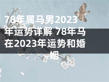 78年属马男2023年运势详解 78年马在2023年运势和婚姻