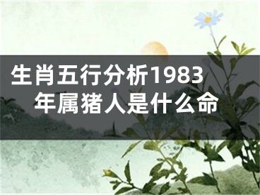 生肖五行分析1983年属猪人是什么命