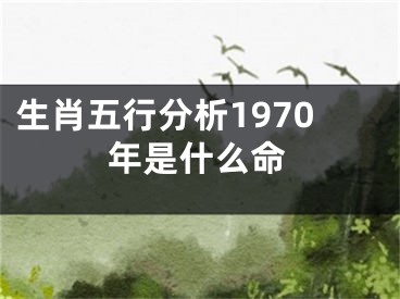 生肖五行分析1970年是什么命