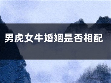 男虎女牛婚姻是否相配