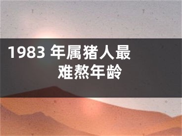1983 年属猪人最难熬年龄