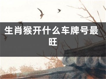 生肖猴开什么车牌号最旺