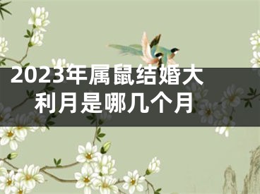 2023年属鼠结婚大利月是哪几个月 