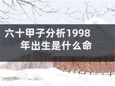六十甲子分析1998年出生是什么命