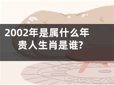 2002年是属什么年 贵人生肖是谁?