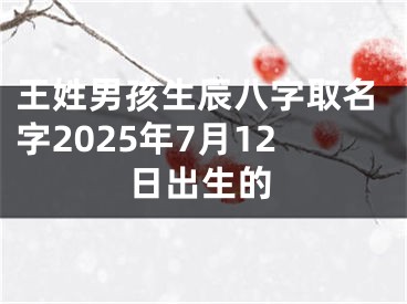 王姓男孩生辰八字取名字2025年7月12日出生的