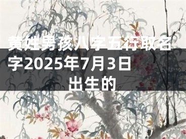 黄姓男孩八字五行取名字2025年7月3日出生的