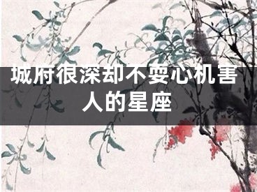 城府很深却不耍心机害人的星座