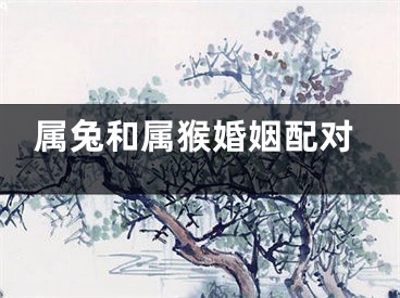 属兔和属猴婚姻配对