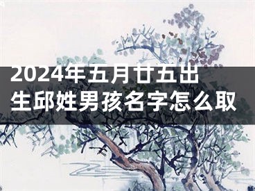 2024年五月廿五出生邱姓男孩名字怎么取