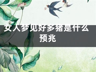 女人梦见好多猪是什么预兆