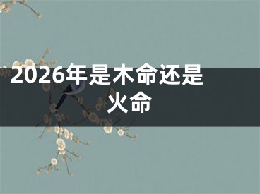 2026年是木命还是火命