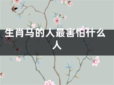 生肖马的人最害怕什么人