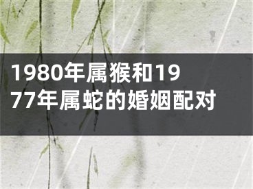 1980年属猴和1977年属蛇的婚姻配对