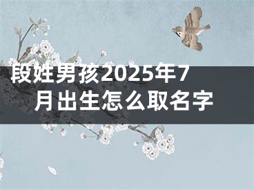 段姓男孩2025年7月出生怎么取名字