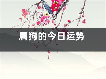 属狗的今日运势