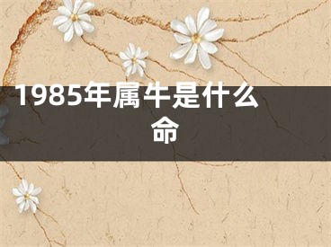 1985年属牛是什么命