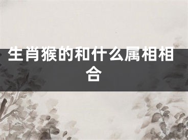 生肖猴的和什么属相相合