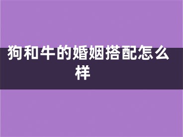 狗和牛的婚姻搭配怎么样 
