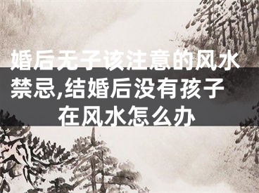 婚后无子该注意的风水禁忌,结婚后没有孩子在风水怎么办