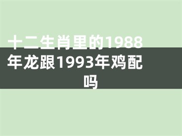 十二生肖里的1988年龙跟1993年鸡配吗