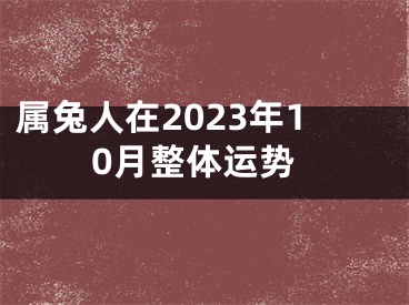 属兔人在2023年10月整体运势