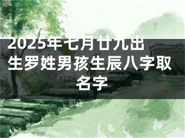 2025年七月廿九出生罗姓男孩生辰八字取名字