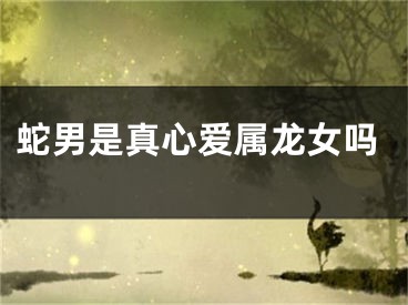 蛇男是真心爱属龙女吗