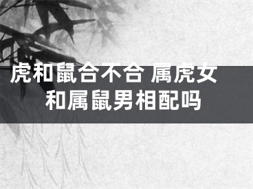 虎和鼠合不合 属虎女和属鼠男相配吗