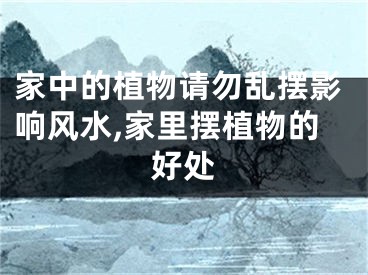 家中的植物请勿乱摆影响风水,家里摆植物的好处
