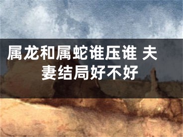 属龙和属蛇谁压谁 夫妻结局好不好