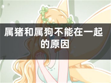 属猪和属狗不能在一起的原因