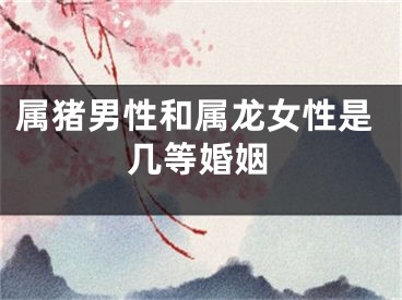 属猪男性和属龙女性是几等婚姻