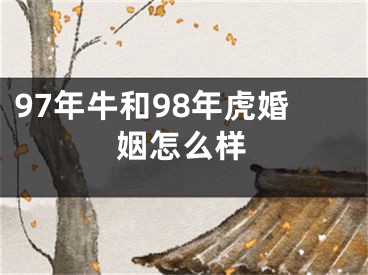97年牛和98年虎婚姻怎么样