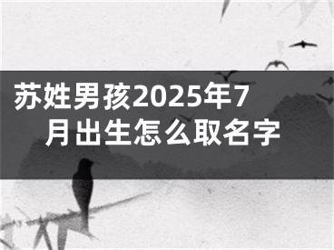 苏姓男孩2025年7月出生怎么取名字