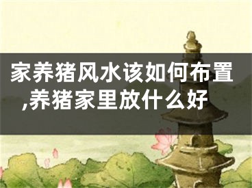 家养猪风水该如何布置,养猪家里放什么好